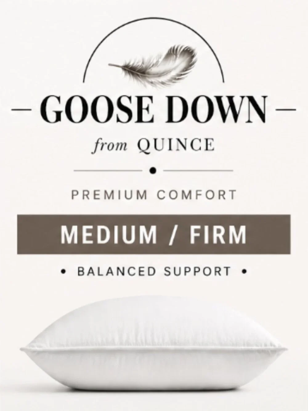 Quince Goose Down Medium/Firm King-Size Pillow #5